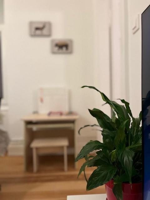 Cosy Rent-Strasbourg Gare 1-Wifi Apartment Екстериор снимка